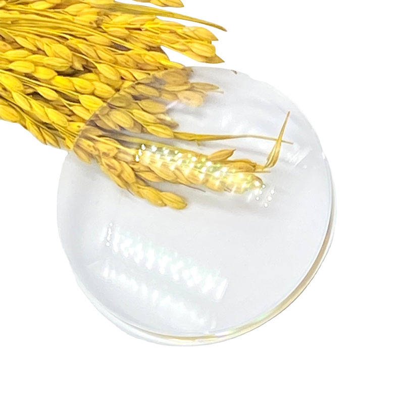 1,60 Polotovar s jednou šošovkou